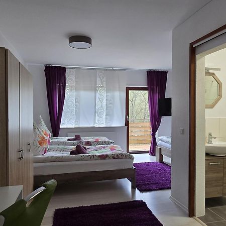 Apartmán La Casa Suciu Forchtenberg Exteriér fotografie