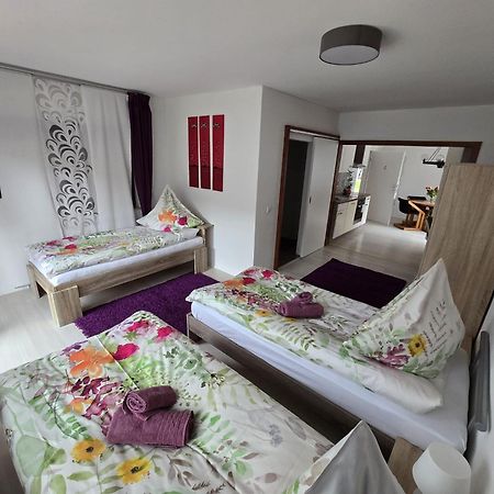 Apartmán La Casa Suciu Forchtenberg Exteriér fotografie