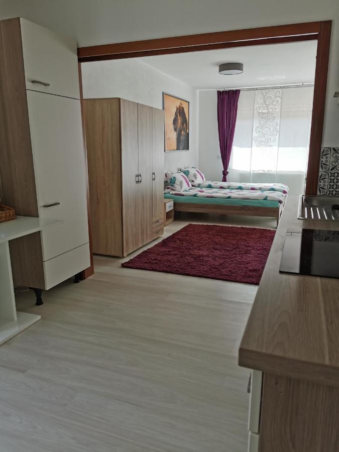 Apartmán La Casa Suciu Forchtenberg Exteriér fotografie