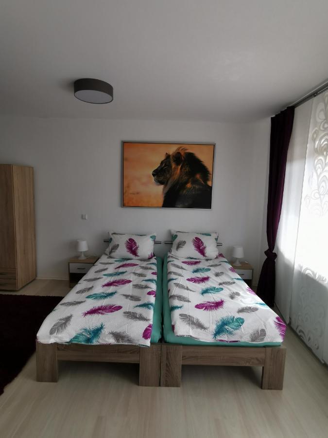 Apartmán La Casa Suciu Forchtenberg Exteriér fotografie