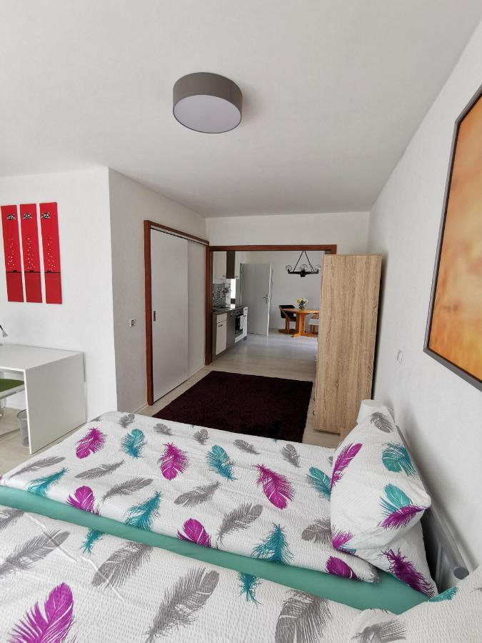 Apartmán La Casa Suciu Forchtenberg Exteriér fotografie